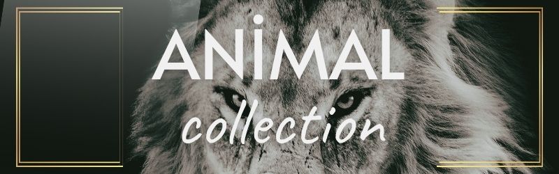   Animal Collection